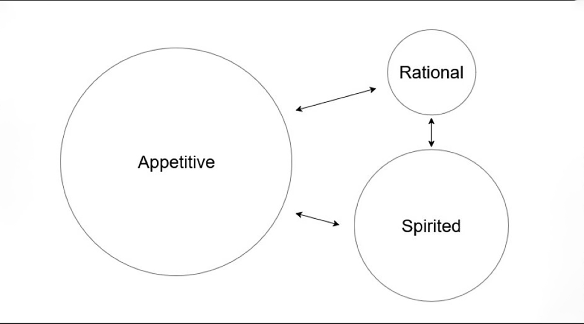 discrete tripartite plato