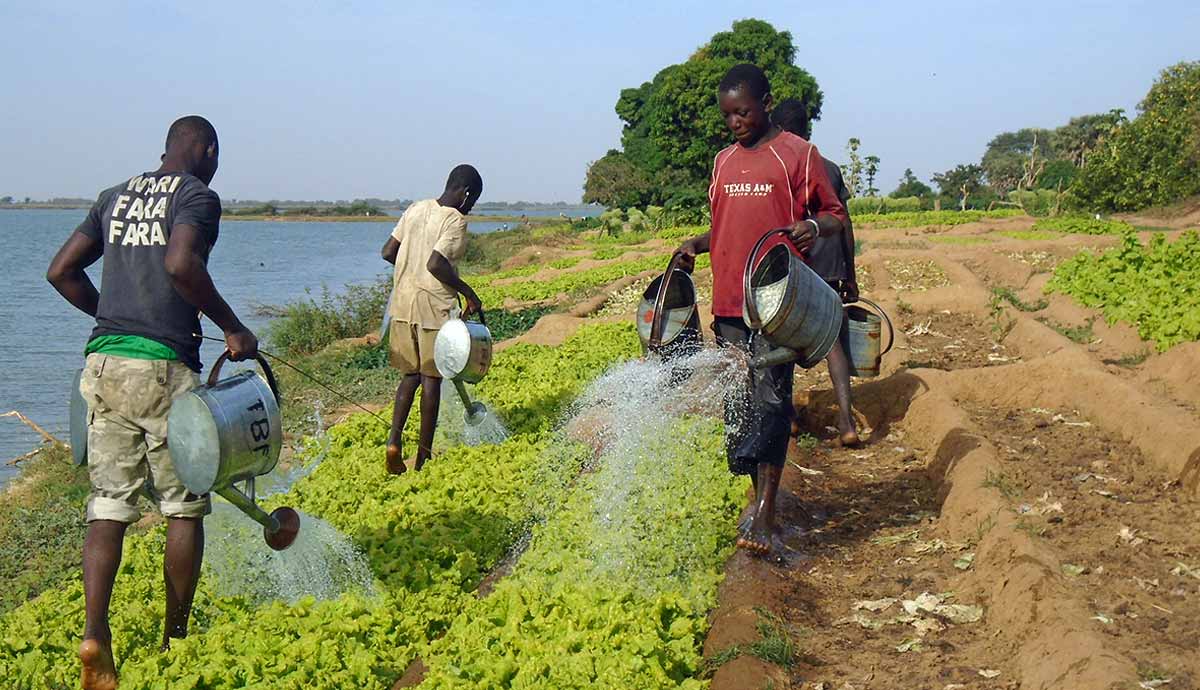farmers river niger