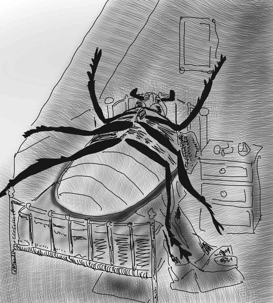 illustration metamorphosis giant insect bed