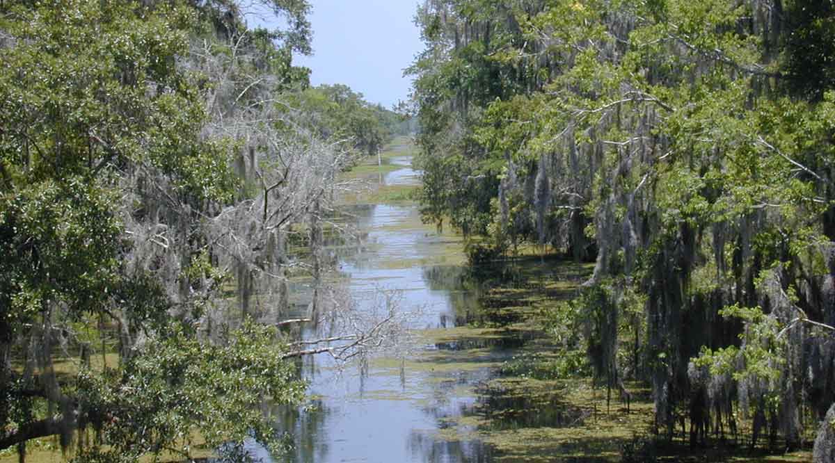 kenta canal louisiana bayou photograph jan kronsell