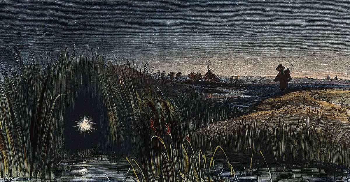 light in marsh engraving louisiana bayou monsters