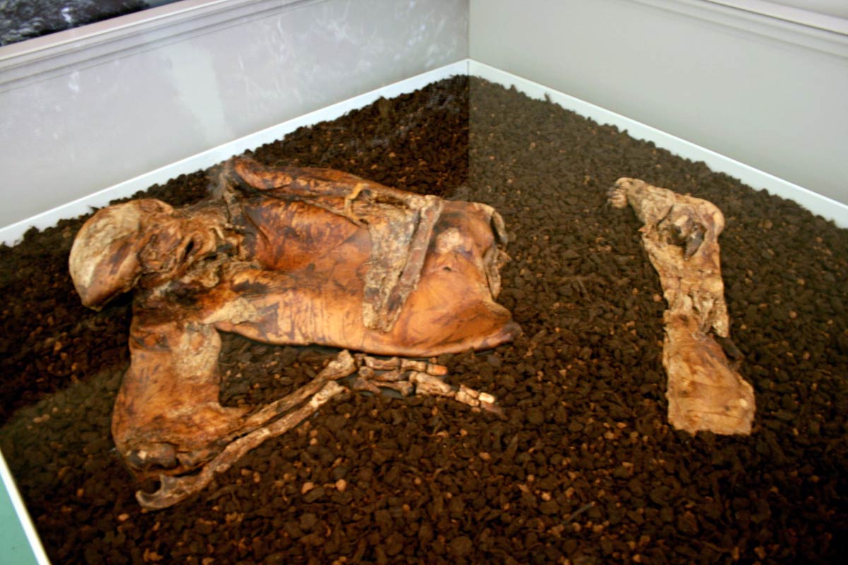 lindow man british museum