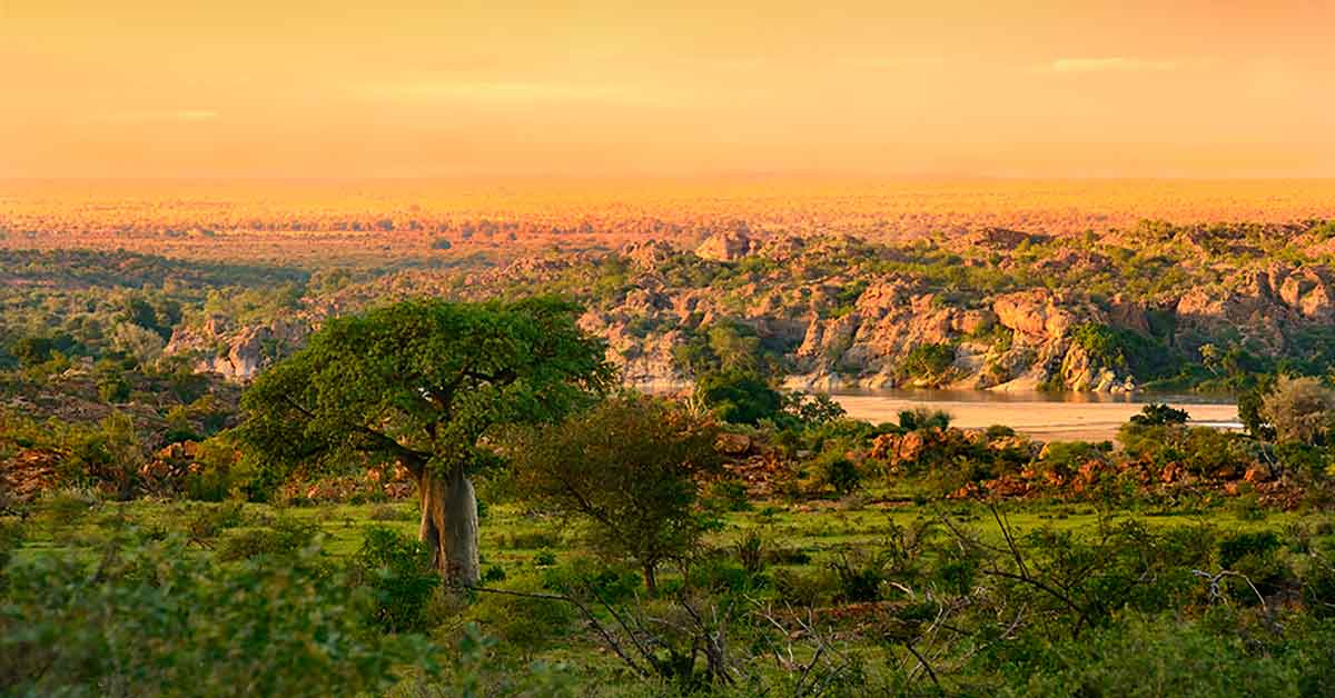 mapungubwe national park