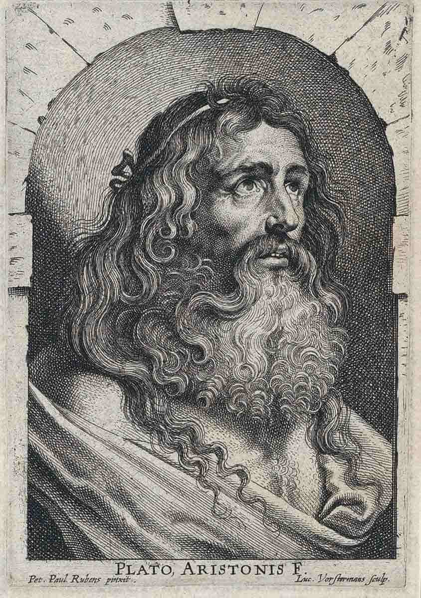 plato in a niche