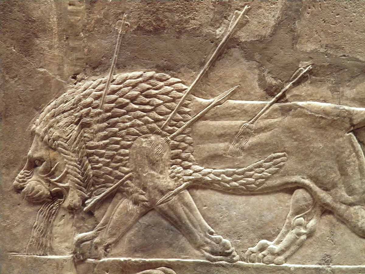 royal lion hunt reliefs british museum