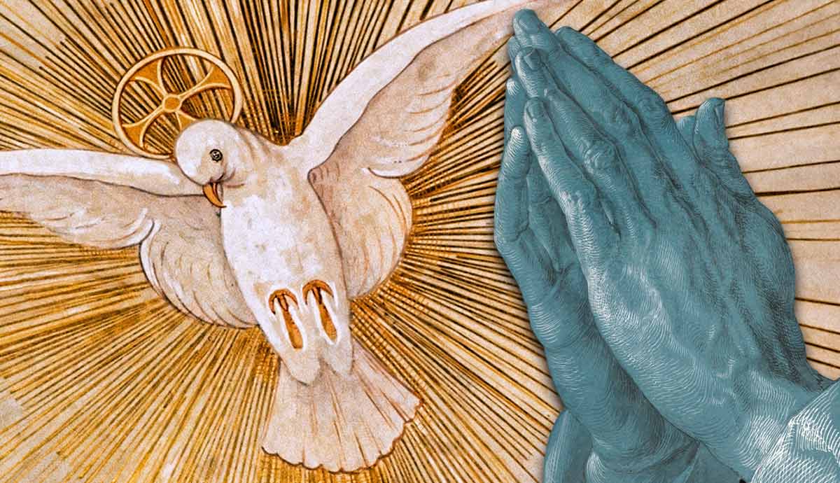 Dove and praying hands with light