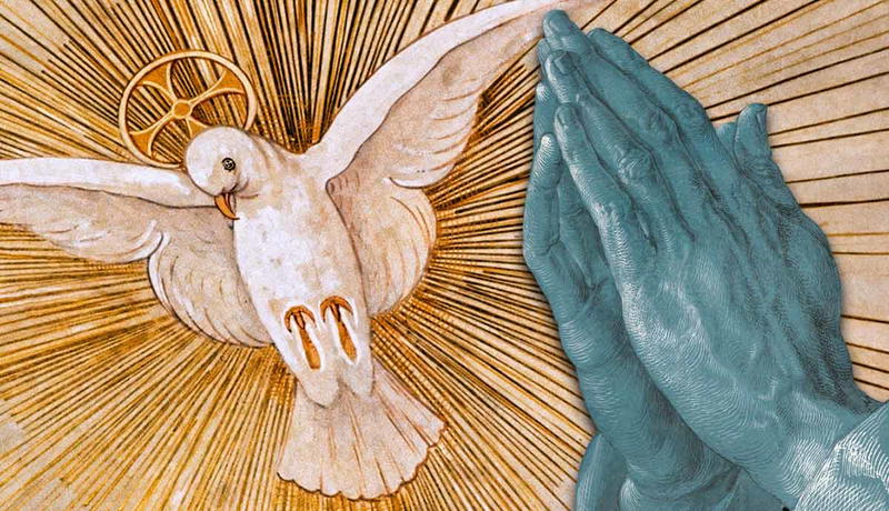 Dove and praying hands with light