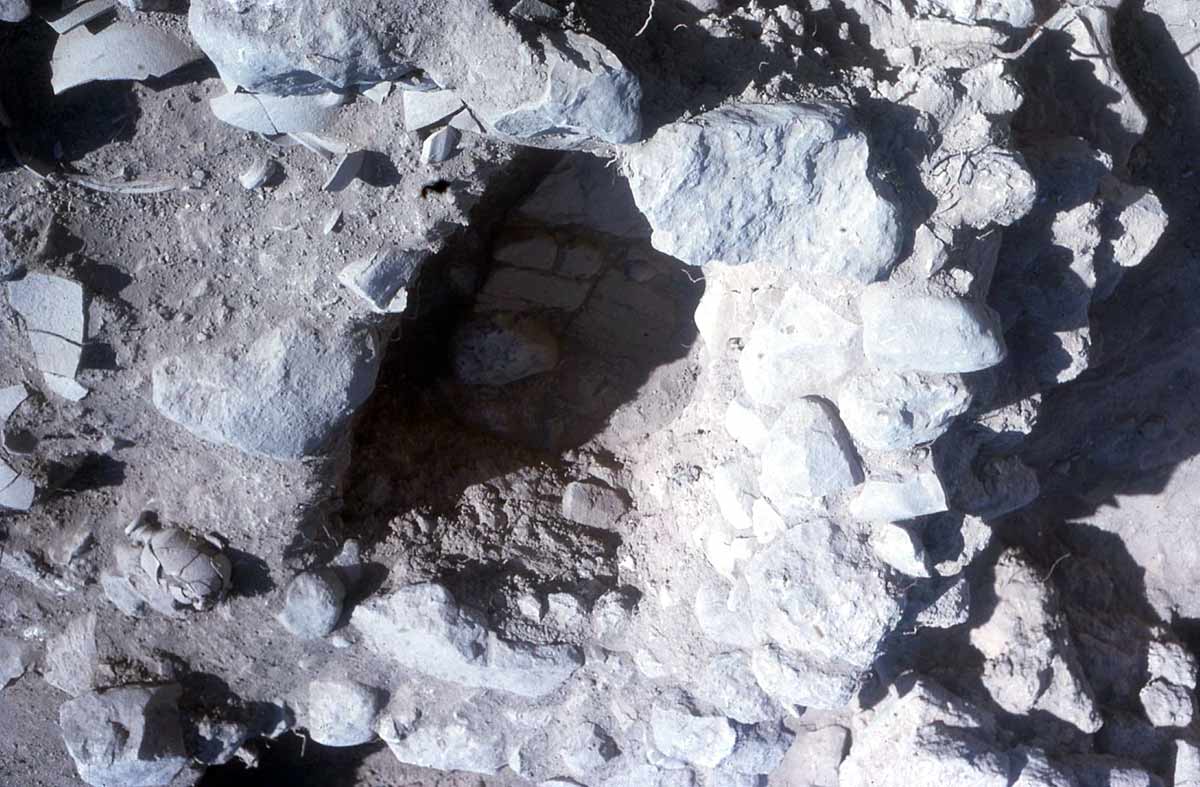 tel lachish excavations proto sinaitic