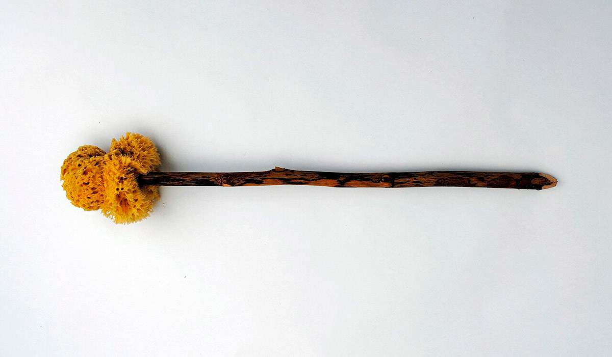 toilet sponge