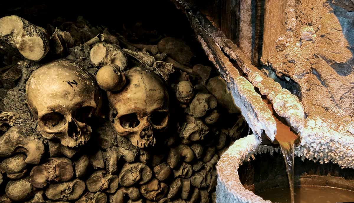 Skulls and bones piled near a flowing water