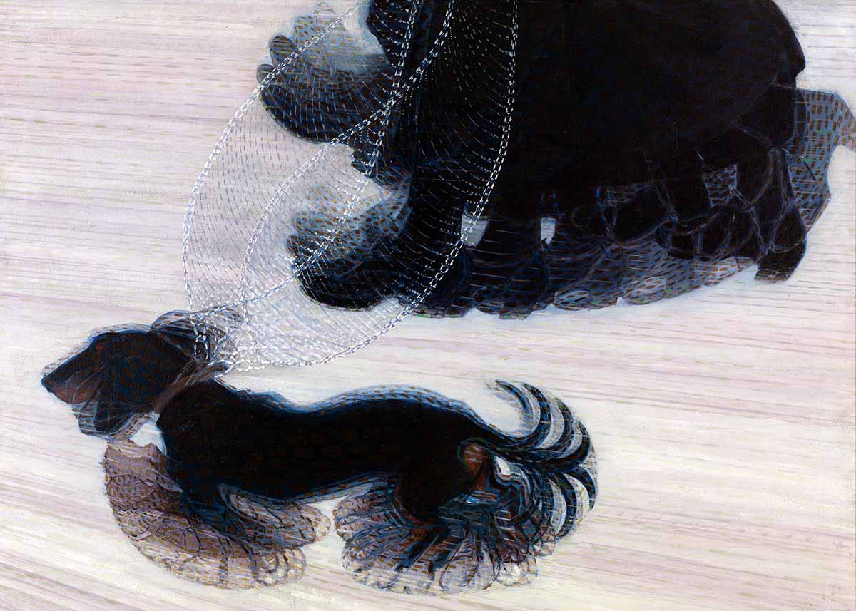 balla dynamism dog leash