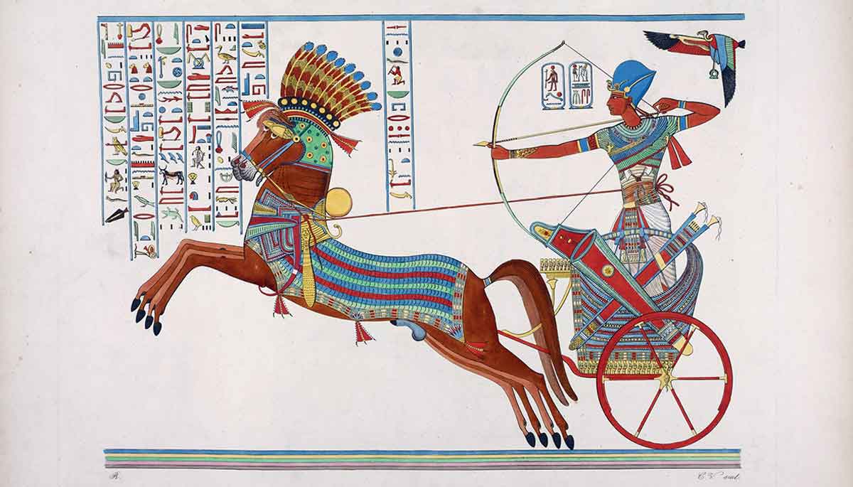 drawing ramesses chariot