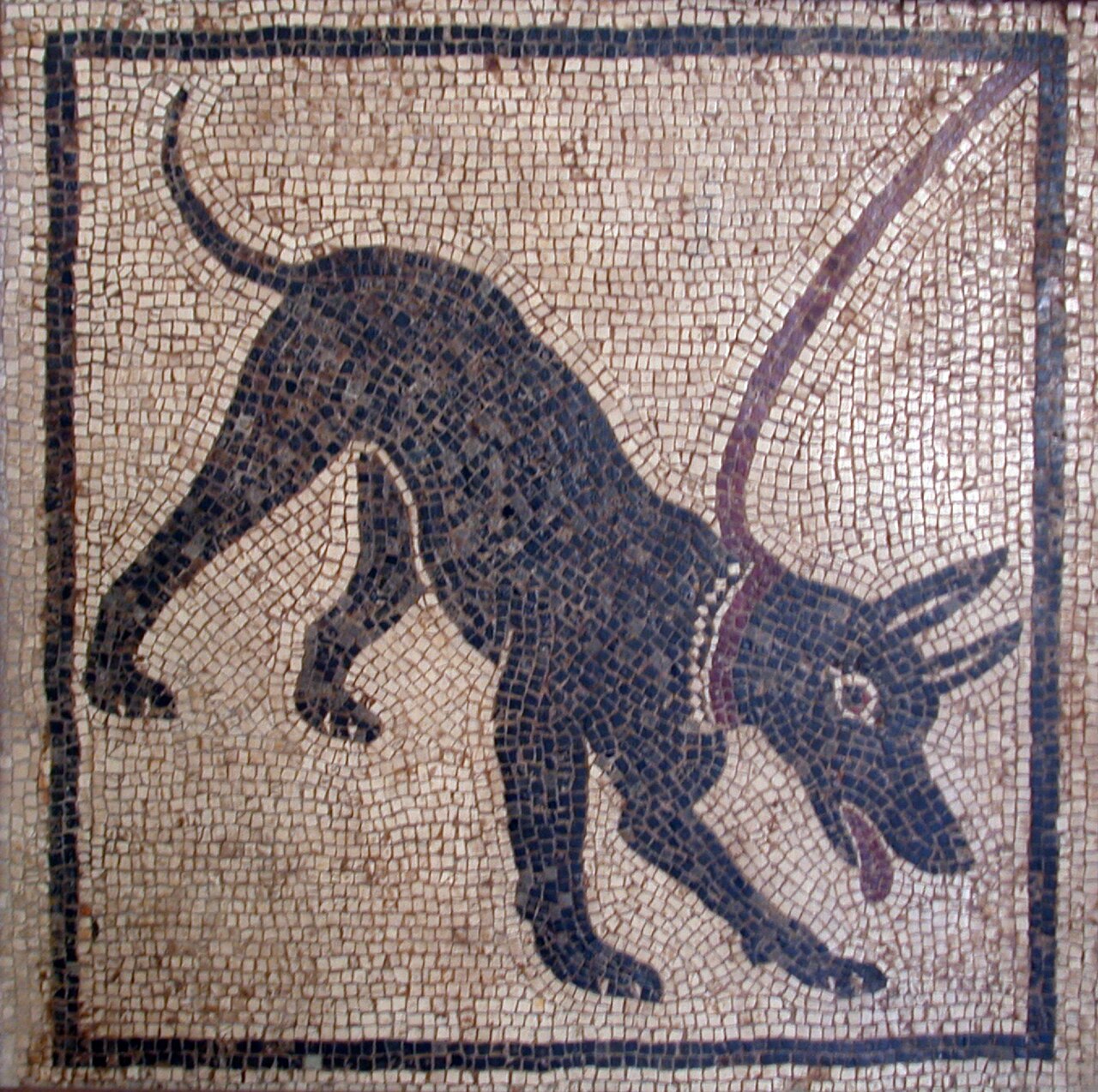 Guard dog mosiac, Pompeii. Source: Naples National Archaeological Museum