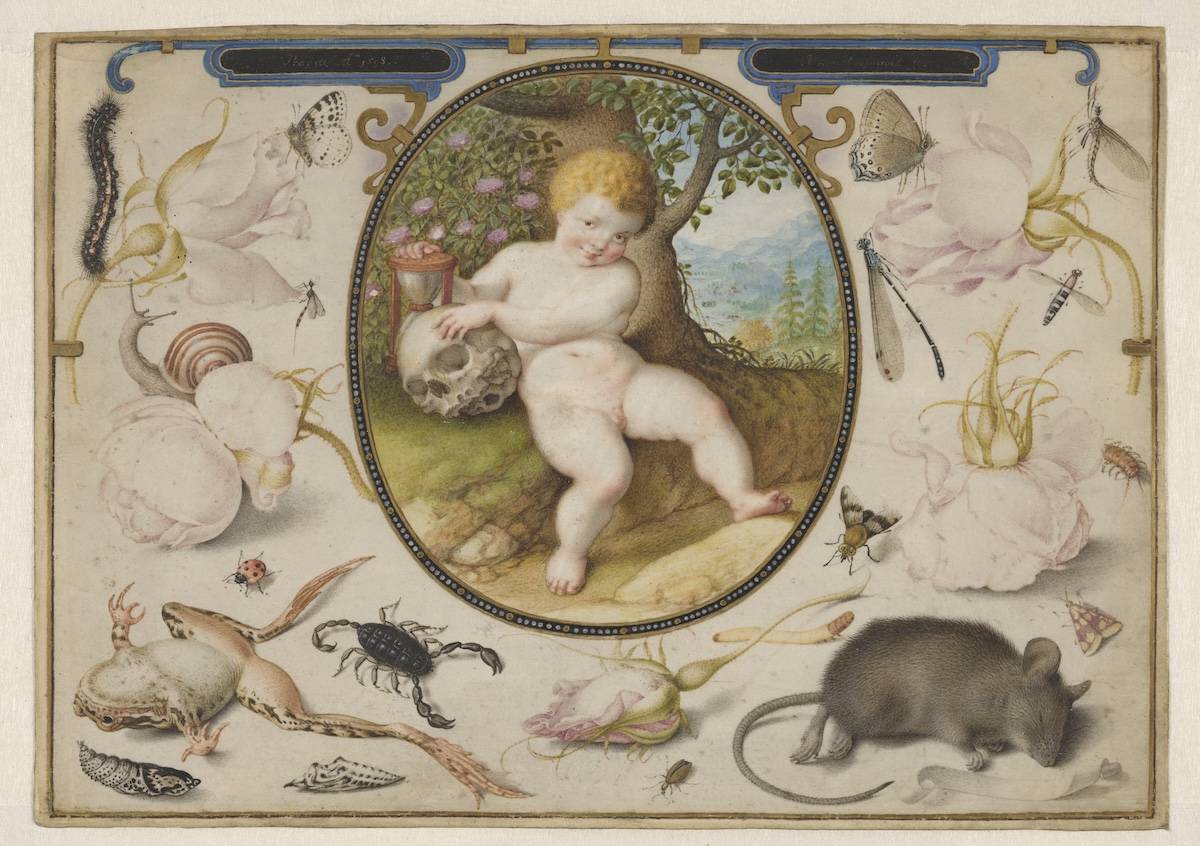 Allegory on Life and Death by Joris Hoefnagel and Jacob Hoefnagel, 1598.