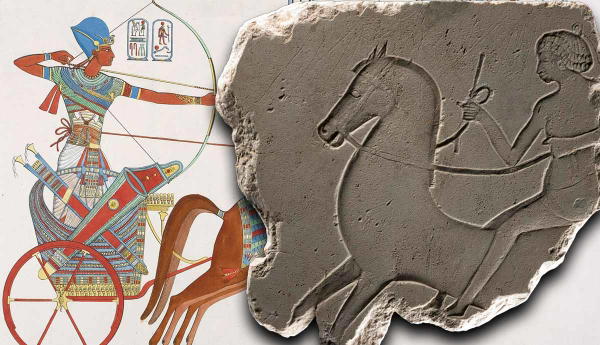 Ancient Egyptian chariot illustration beside a stone relief.