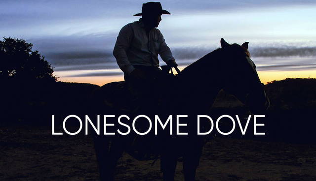 Silhouette of a cowboy on horseback at sunset.