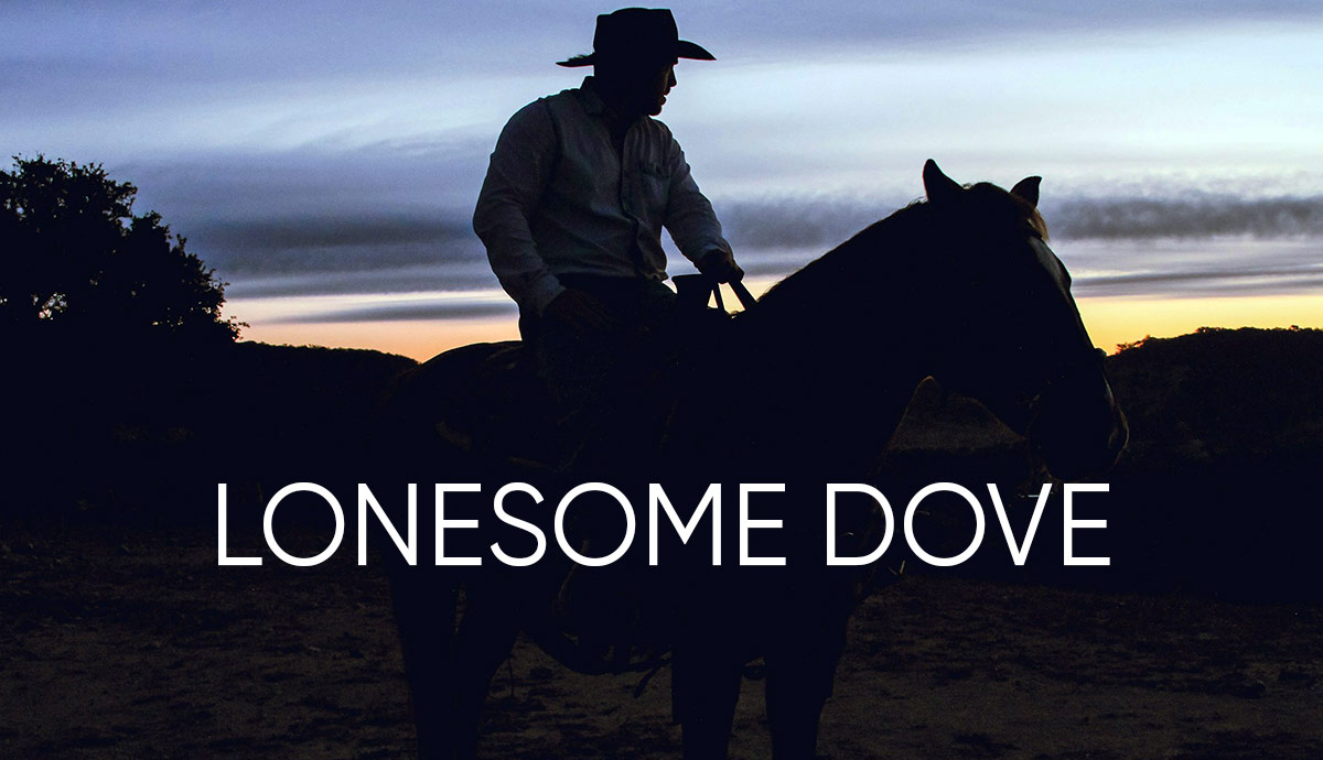 Silhouette of a cowboy on horseback at sunset.