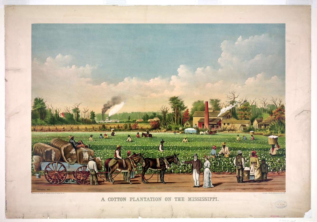 mississippi cotton plantation