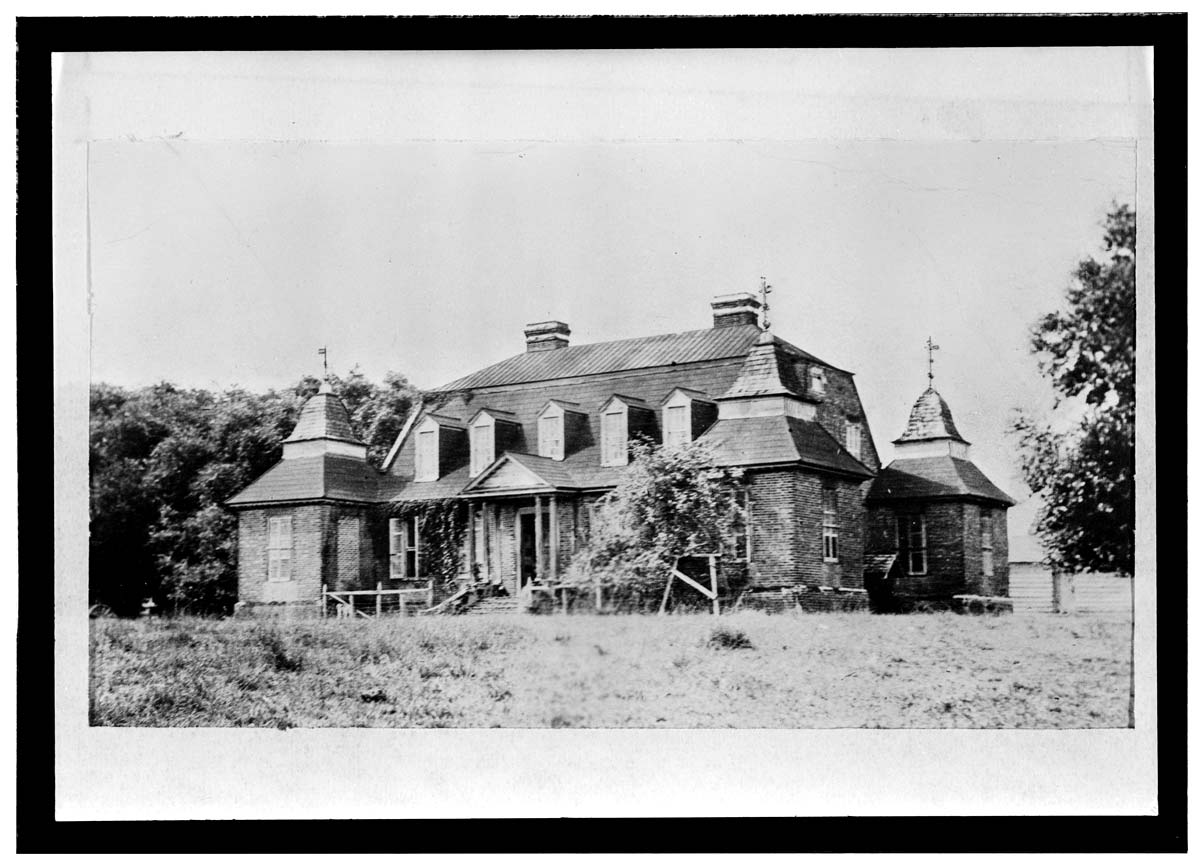 mulberry plantation