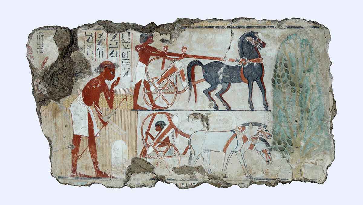 painting tomb nebamun chariots