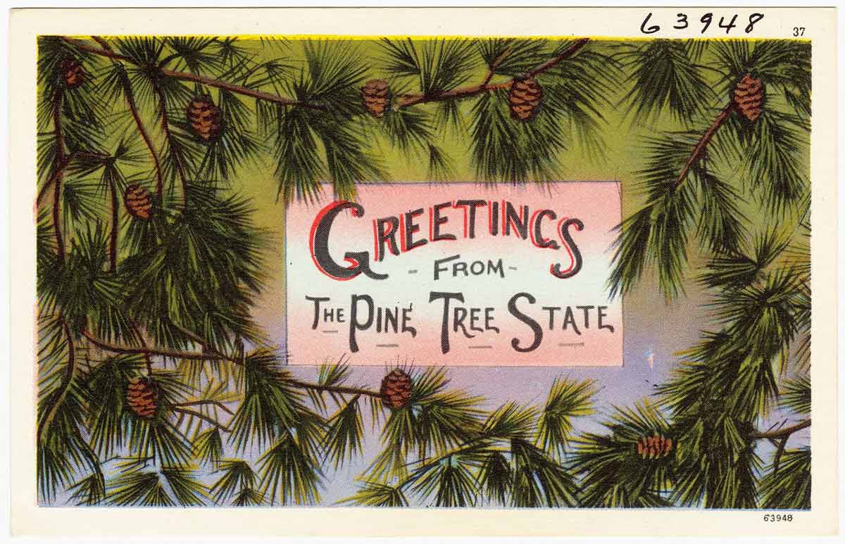 pine tree state postcard