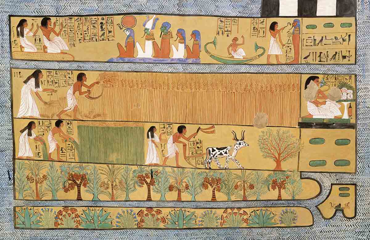 wilson sennedjem iineferti fields iaru