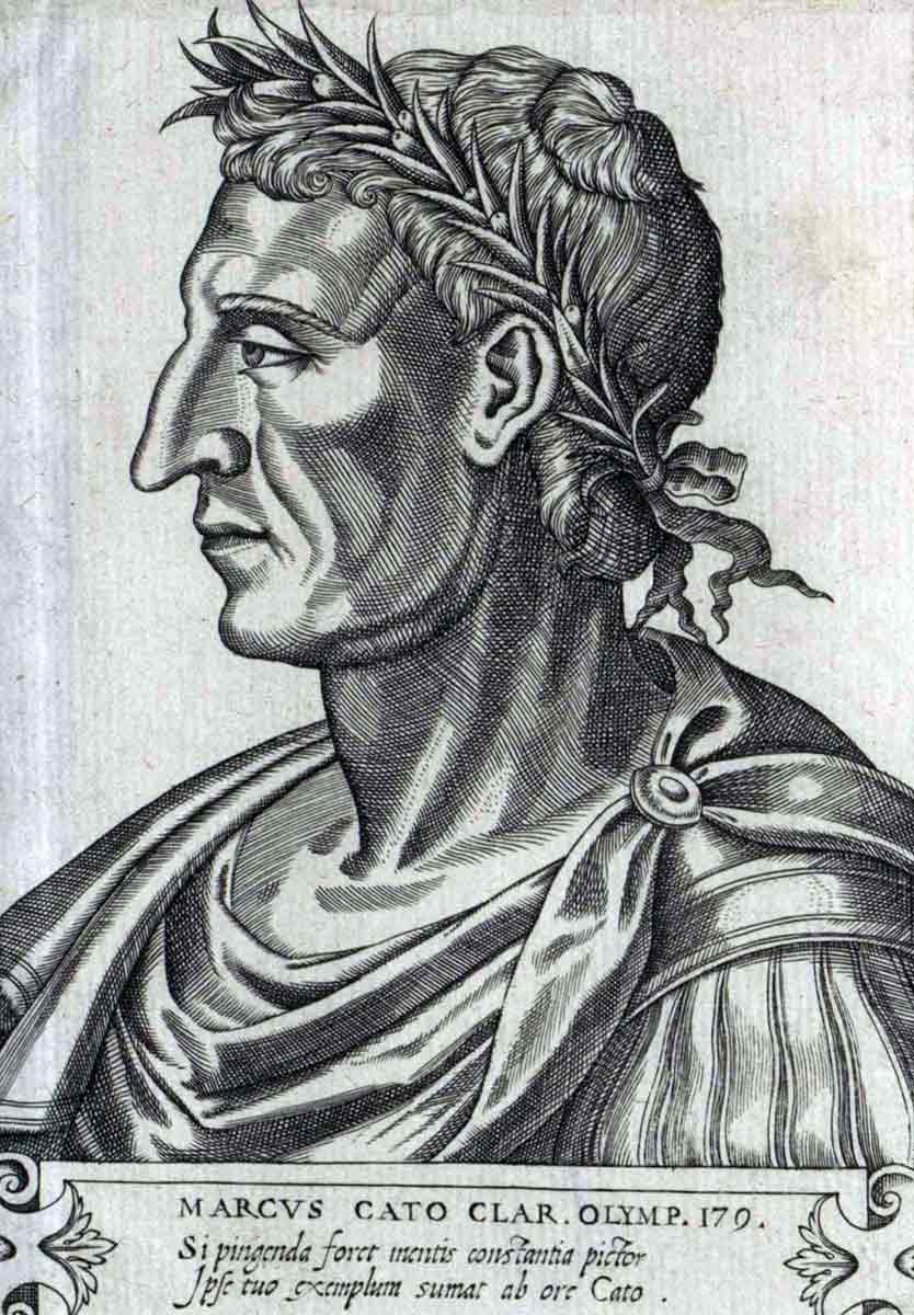 Cato the Elder print