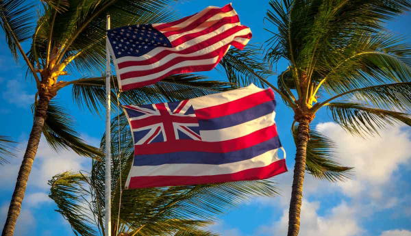 US and Hawaii flags flying amongst palm trees.