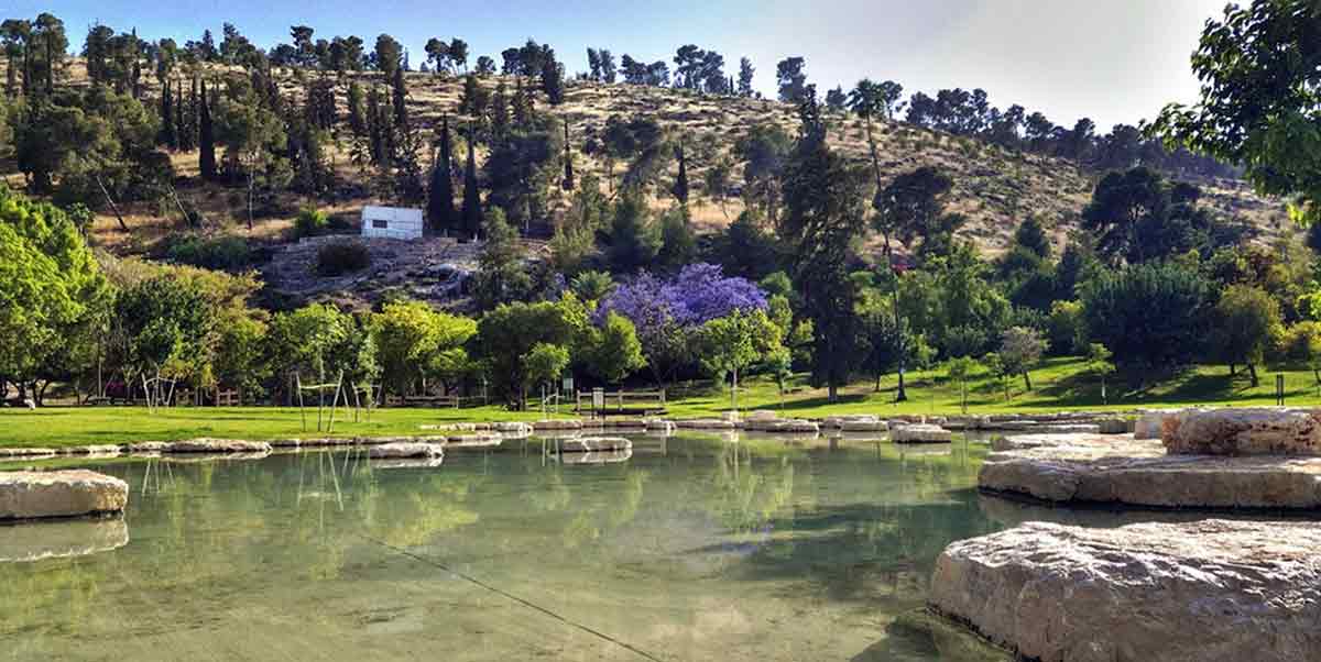 ain jalut spring