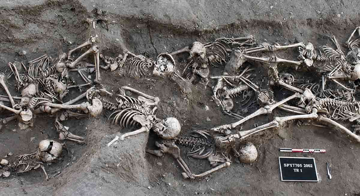 bubonic plague france