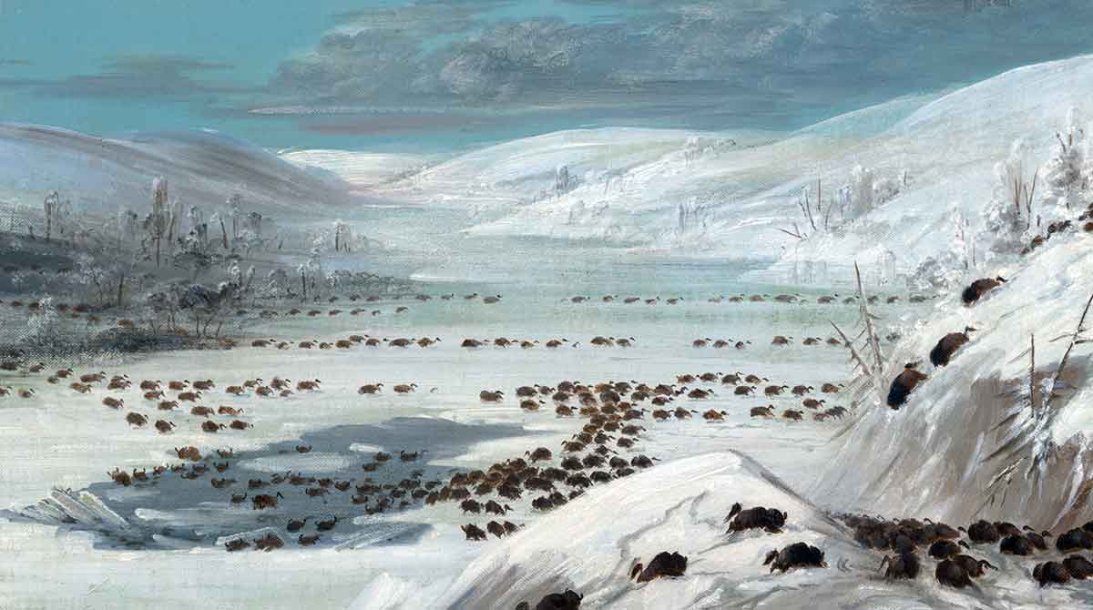 buffalo missouri river
