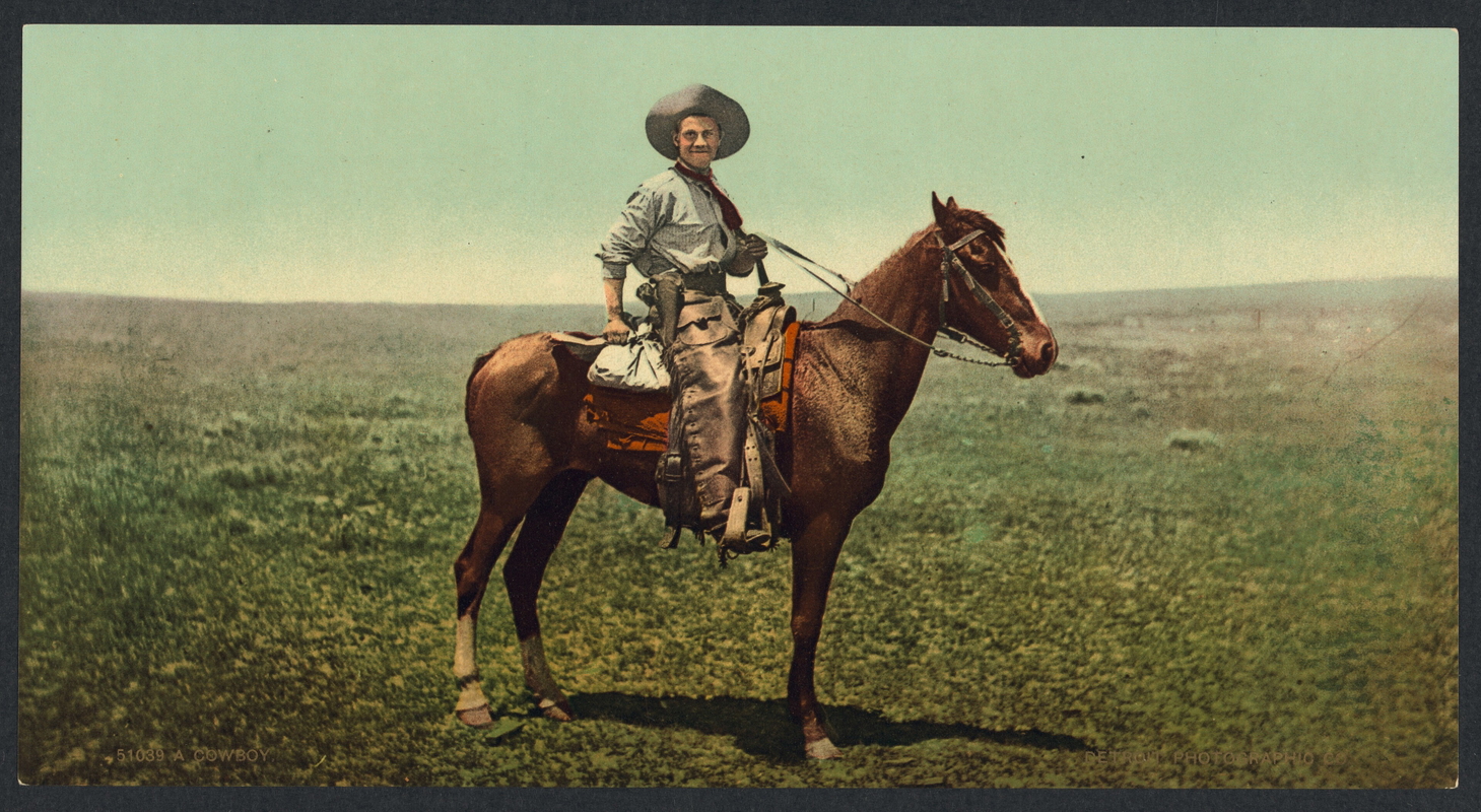 cowboy on horse