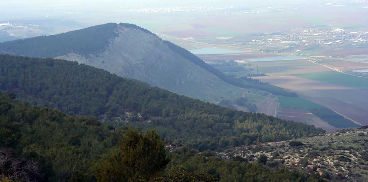 gilboa ain jalut