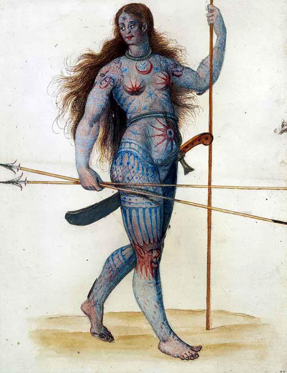 john white illustration