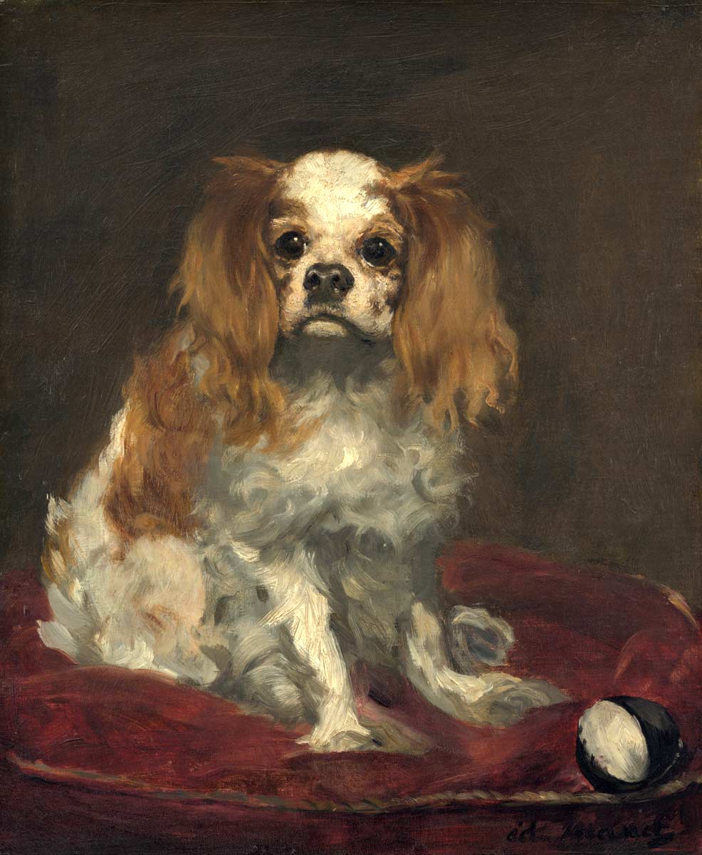 manet king charles spaniel