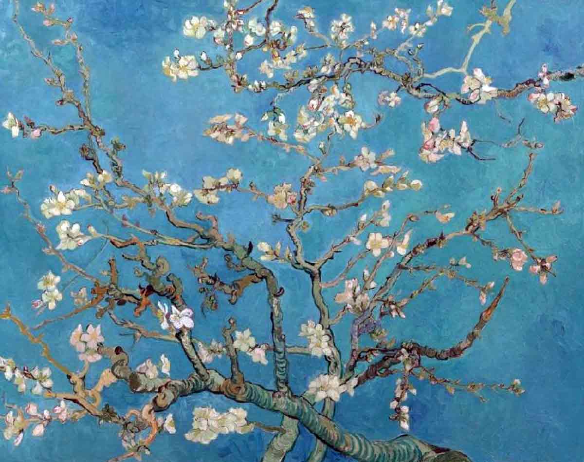 van gogh almond blossom