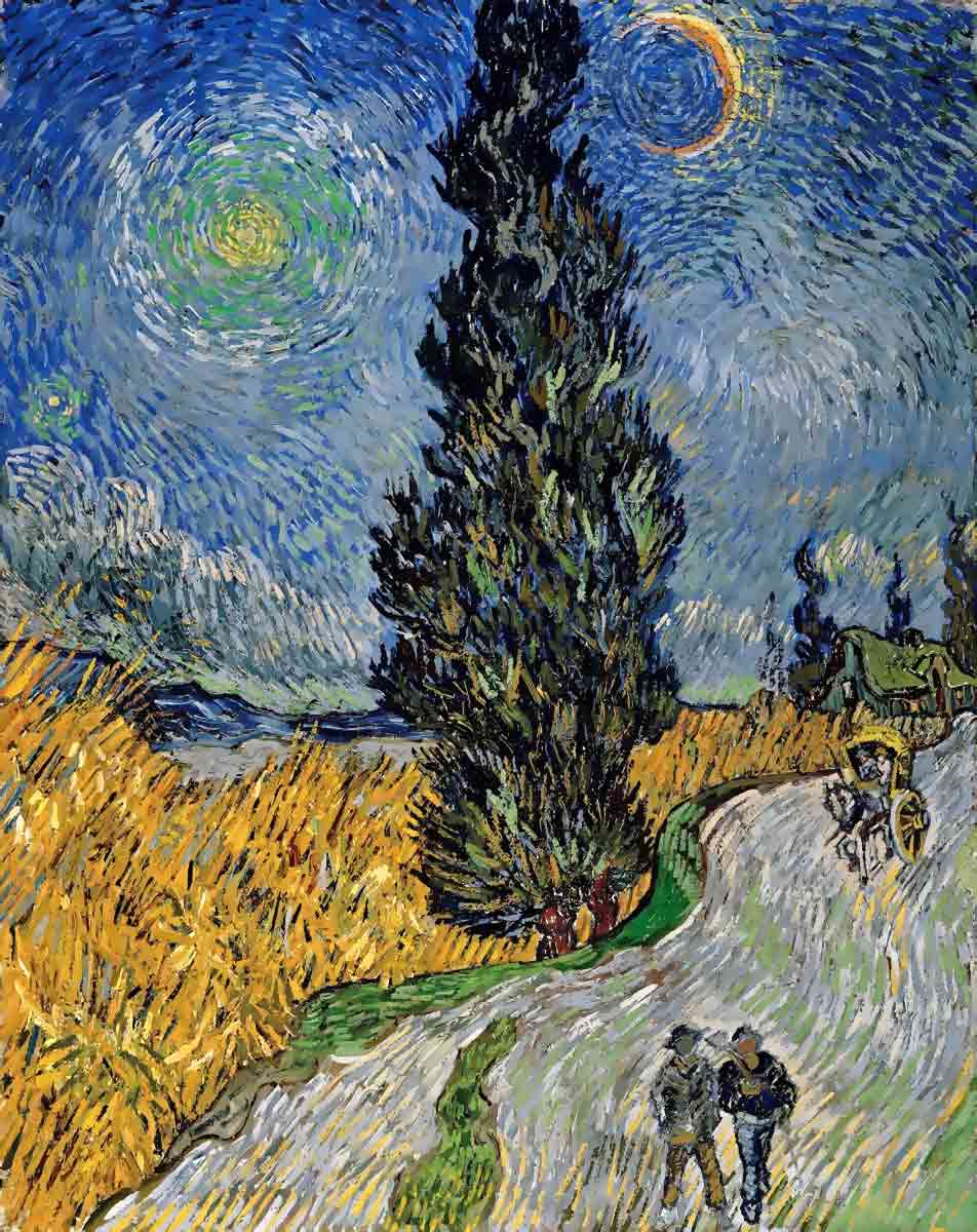 van gogh country road in provence by night