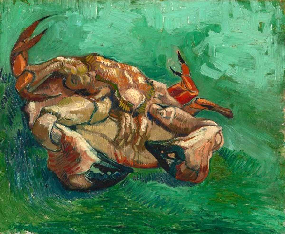 van gogh crab on its back
