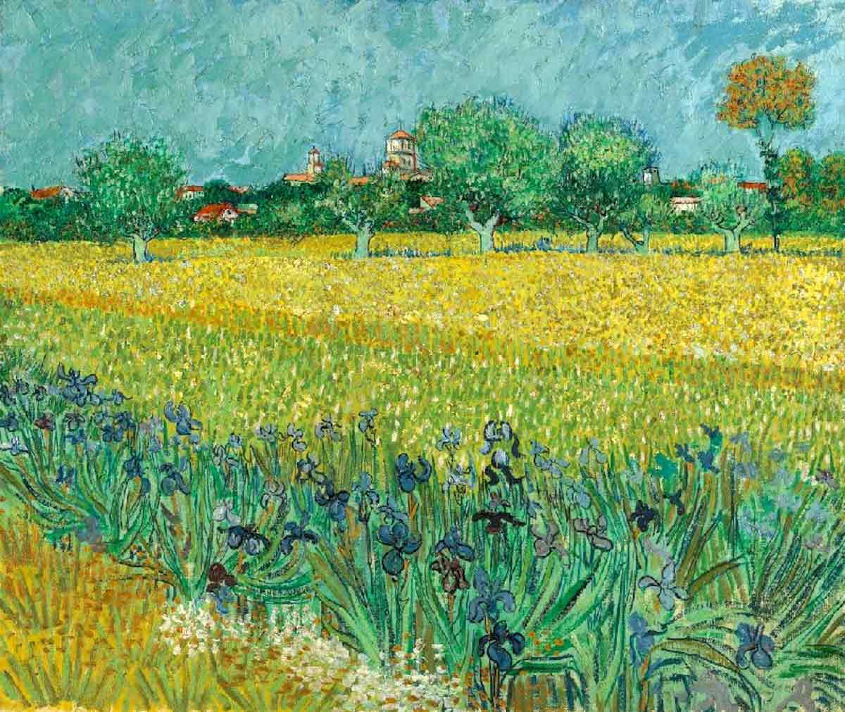 van gogh field with irises near arles