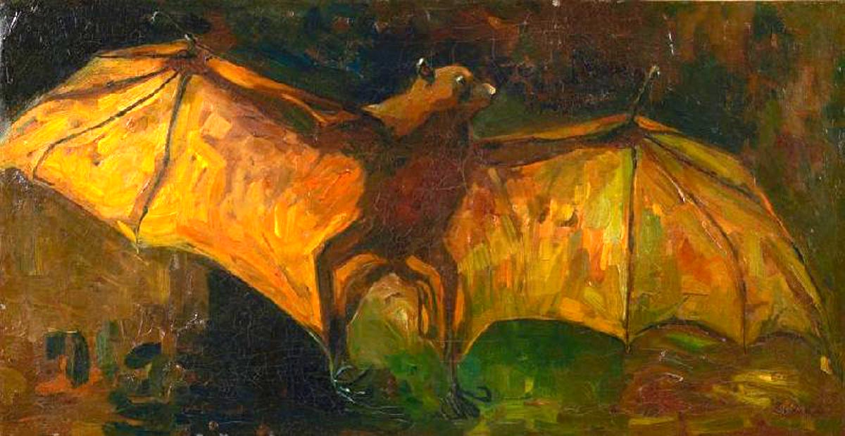 van gogh flying fox