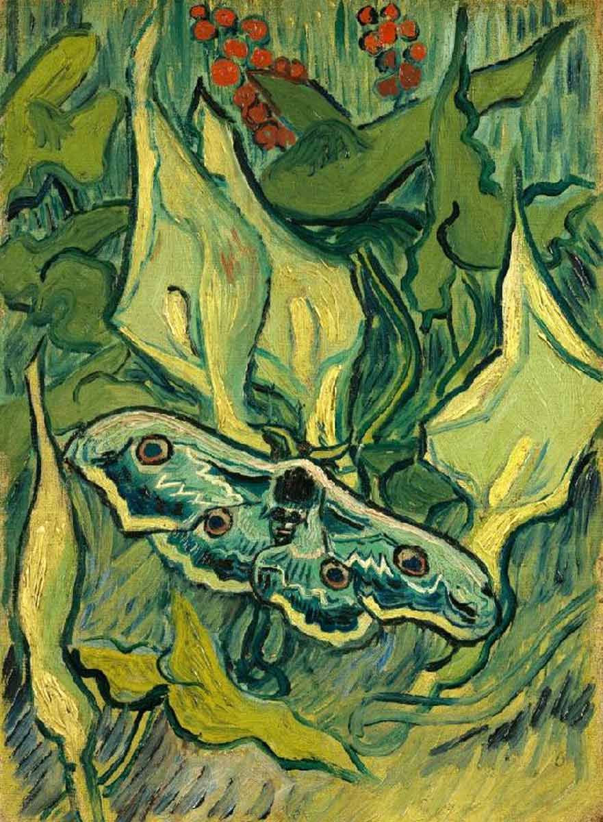 van gogh giant peacock moth