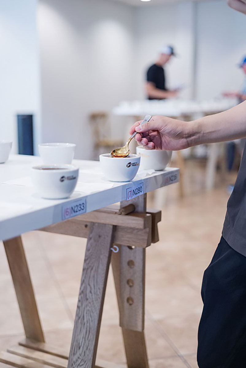 A coffee cupping session in progress