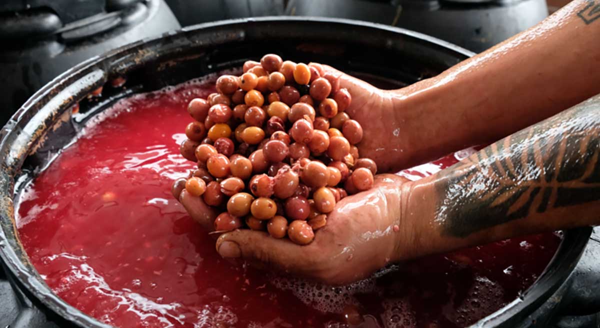 Anaerobic fermentation