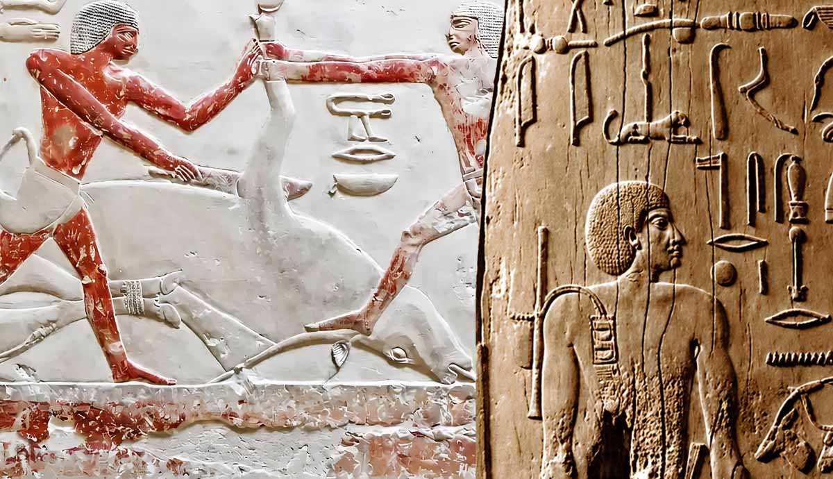 Hieroglyphs from Egyptian daily life