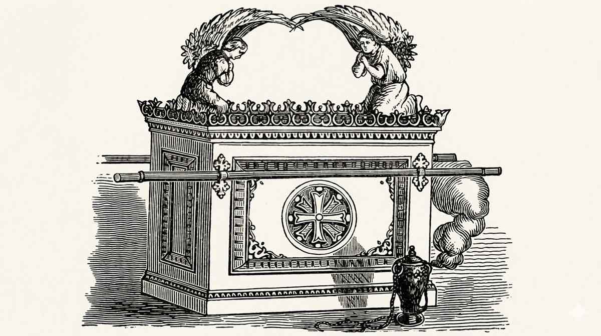 ark engraving illustration