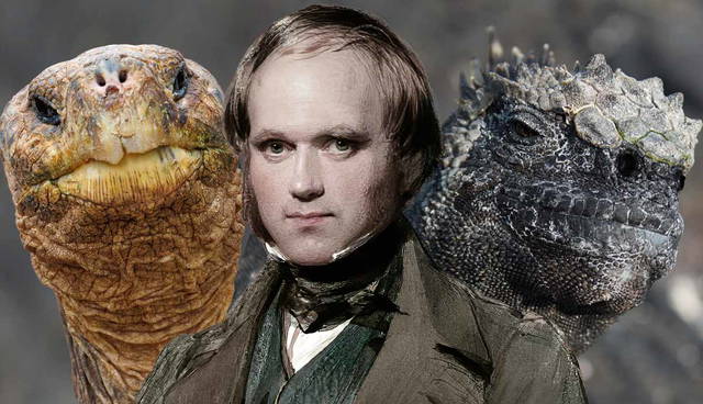 darwin galapagos feature
