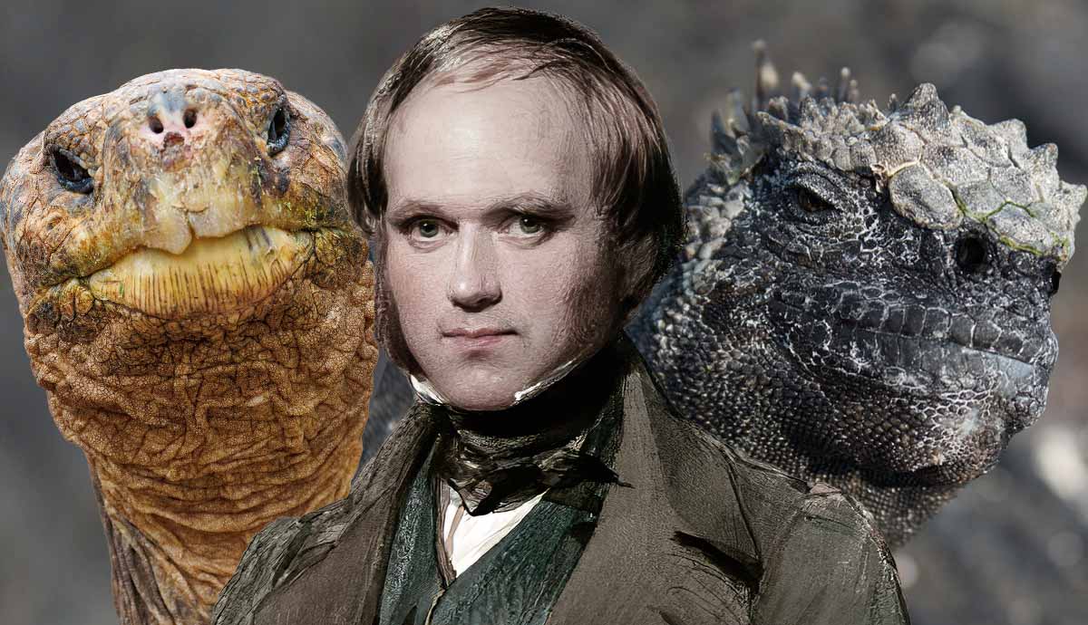 darwin galapagos feature