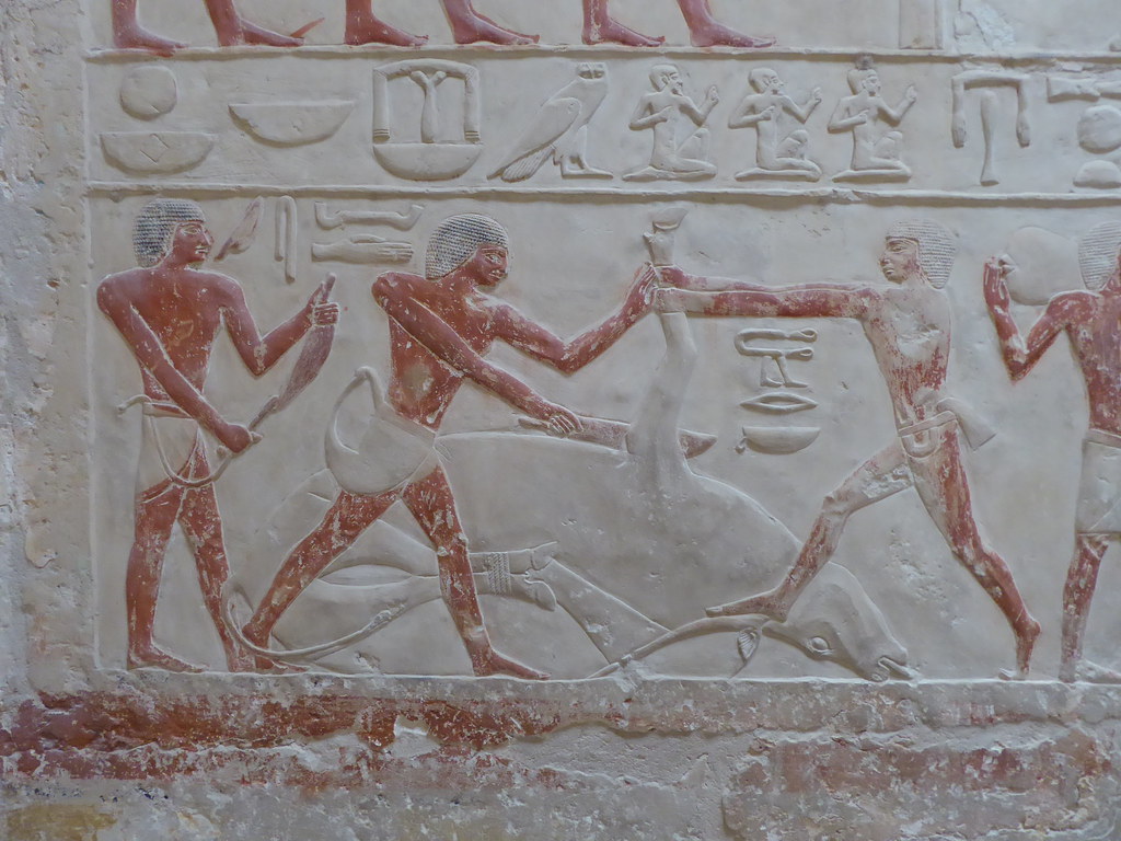 Relief of butchers slaughtering an ox, from the mastaba tomb of Princess Idut, 5th Dynasty. Source: Flickr