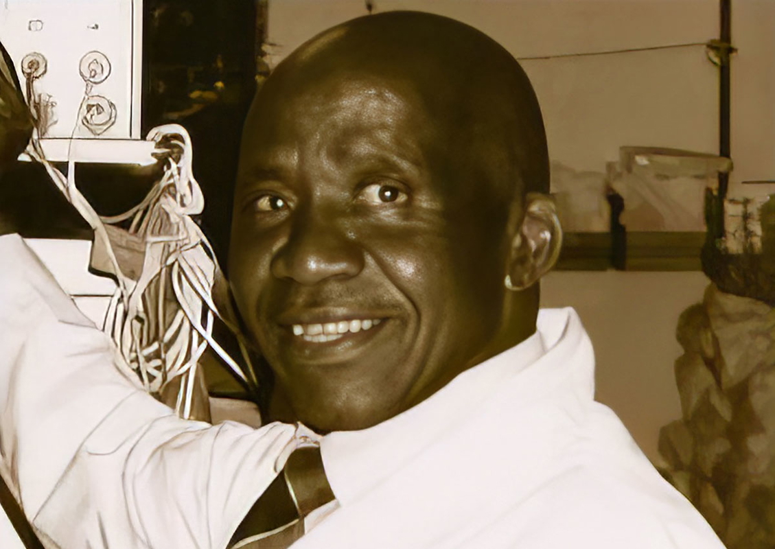 hamilton naki image