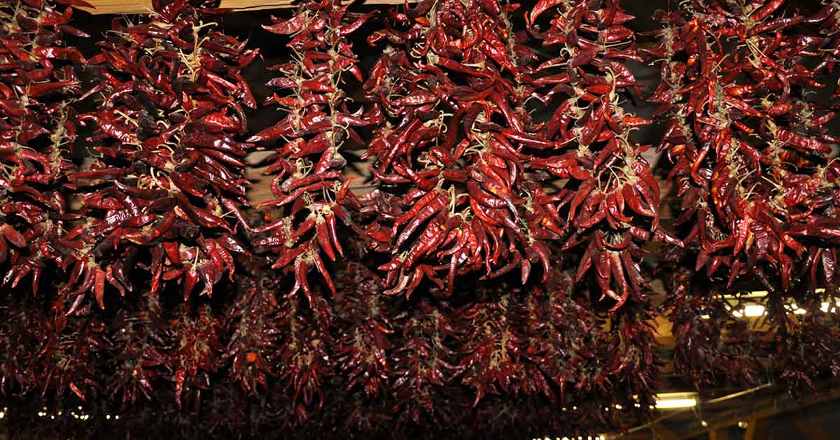 hungarian paprika image